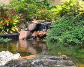 Water Feature Design in Coral Gables