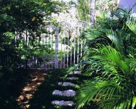 Landscape Installation in Coral Gables Walkway 2