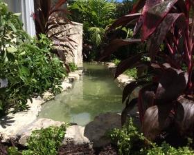 Water Feature Design with Tropical Landscape Design 1